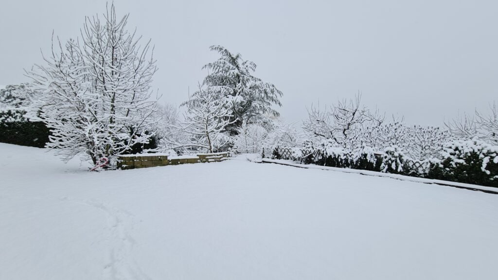 Le parking du domaine Ô Cèdre Bleu sous la neige